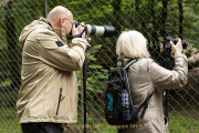 Wildtiergehege Weilburg