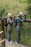 Wildtiergehege Weilburg