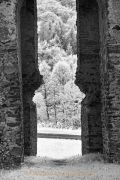 Monatsthema Durchblick/Öffnungen - Fotograf  Stefan Zimmermann