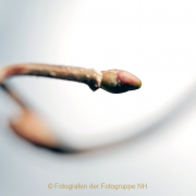 Monatsthema Natur abstrakt - Fotografin Anne Jeuk
