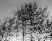 Monatsthema Natur abstrakt - Fotografin Anne Jeuk