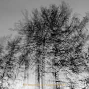 Monatsthema Natur abstrakt - Fotografin Anne Jeuk