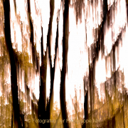 Monatsthema Natur abstrakt - Fotografin Anne Jeuk