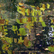 Monatsthema Natur abstrakt - Fotografin Anne Jeuk