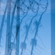 Monatsthema Natur abstrakt - Fotografin Anne Jeuk