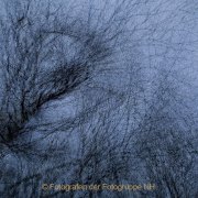 Monatsthema Natur abstrakt - Fotografin Jutta R. Buchwald