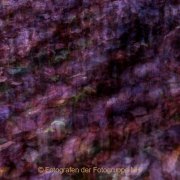 Monatsthema Natur abstrakt - Fotografin Jutta R. Buchwald