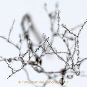 Monatsthema Natur abstrakt - Fotografin Jutta R. Buchwald