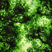 Monatsthema Natur abstrakt - Fotografin Nicole Gieseler