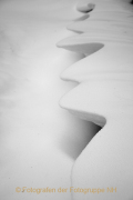 Monatsthema Natur abstrakt - Fotografin Nicole Gieseler