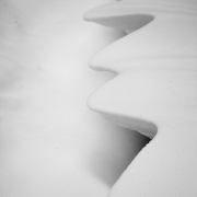 Monatsthema Natur abstrakt - Fotografin Nicole Gieseler