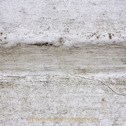 Monatsthema Natur abstrakt - Fotografin Nicole Gieseler