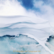 Monatsthema Natur abstrakt - Fotografin Nicole Gieseler