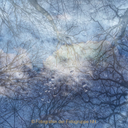 Monatsthema Natur abstrakt - Fotografin Nicole Gieseler