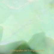 Monatsthema Natur abstrakt - Fotograf Thomas Stähler