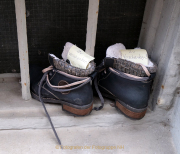Monatsthema Schuhe - Fotografin Anne Jeuk