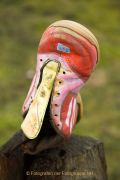 Monatsthema Schuhe - Fotografin Nicole Gieseler