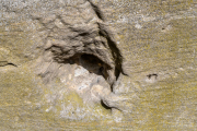 Monatsthema Steine/Steiniges - Fotograf Clemens Schnitzler