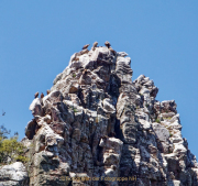 Monatsthema Steine/Steiniges - Fotograf Henry Mann