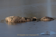 Monatsthema Steine/Steiniges - Fotograf Werner Ch. Buchwald