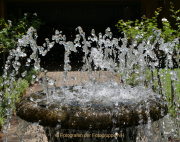 Monatsthema Wassertropfen - Fotografin Anne Jeuk