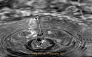 Monatsthema Wassertropfen - Fotografin Anne Jeuk
