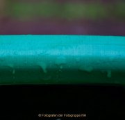 Monatsthema Wassertropfen - Fotograf Henry Mann