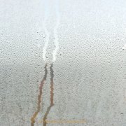 Monatsthema Wassertropfen - Fotograf Henry Mann