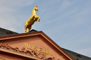 Monatsthema Froschperspektive - Fotograf Albert Wenz