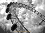 Monatsthema Froschperspektive - Fotografin Anne Jeuk