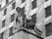 Monatsthema Froschperspektive - Fotografin Anne Jeuk