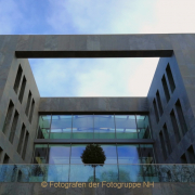 Monatsthema Froschperspektive - Fotograf Thomas Stähler