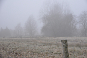 Nebel - Fotograf Albert Wenz