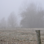 Nebel - Fotograf Albert Wenz