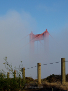 Nebel - Fotografin Anne Jeuk