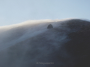 Nebel - Fotografin Anne Jeuk