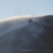 Nebel - Fotografin Anne Jeuk