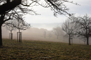 Nebel - Fotograf Christoph Fuhrmann