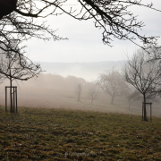 Nebel - Fotograf Christoph Fuhrmann