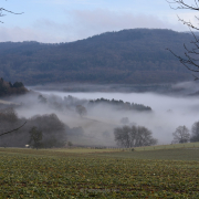 Nebel - Fotograf Christoph Fuhrmann