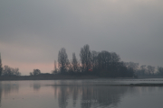 Nebel - Fotografin Jutta R. Buchwald