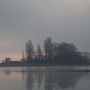 Nebel - Fotografin Jutta R. Buchwald