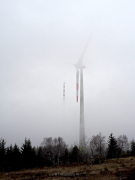 Nebel - Fotograf Henry Mann