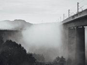 Nebel - Fotograf Henry Mann