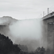Nebel - Fotograf Henry Mann