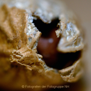 Monatsthema 'In der Küche' - Fotografin Anne Jeuk