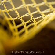 Monatsthema 'In der Küche' - Fotografin Izabela Reich