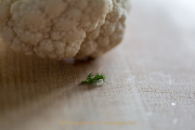 Monatsthema 'In der Küche' - Fotografin Jutta R. Buchwald