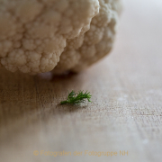 Monatsthema 'In der Küche' - Fotografin Jutta R. Buchwald