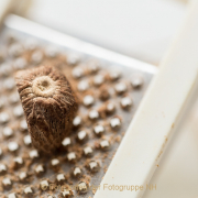Monatsthema 'In der Küche' - Fotografin Jutta R. Buchwald